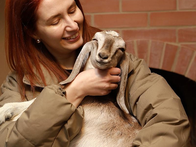 Фермеры Челябинской области запускают туристическое направление с господдержкой